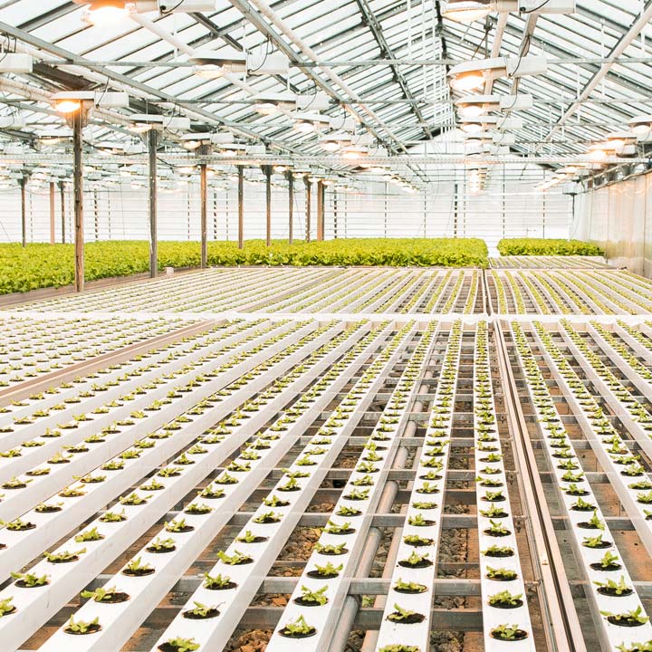 AEP_Industry_Agriculture